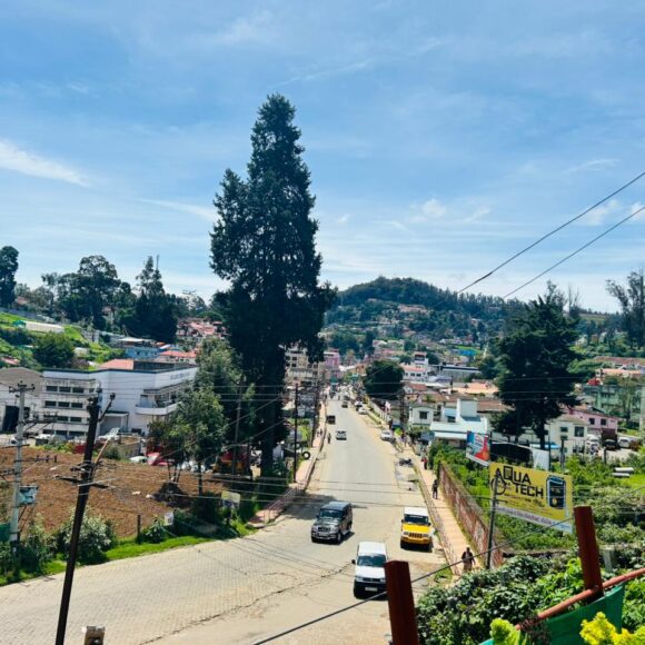 WhatsApp Image 2025-12-03 at 8.45.31 PM (2)