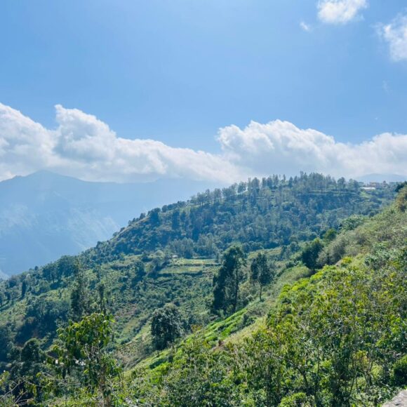 WhatsApp Image 2025-12-03 at 8.45.31 PM