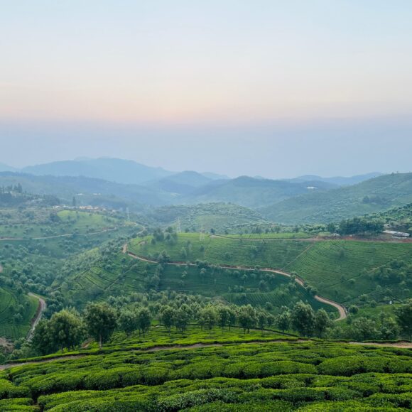 WhatsApp Image 2025-12-03 at 8.45.33 PM