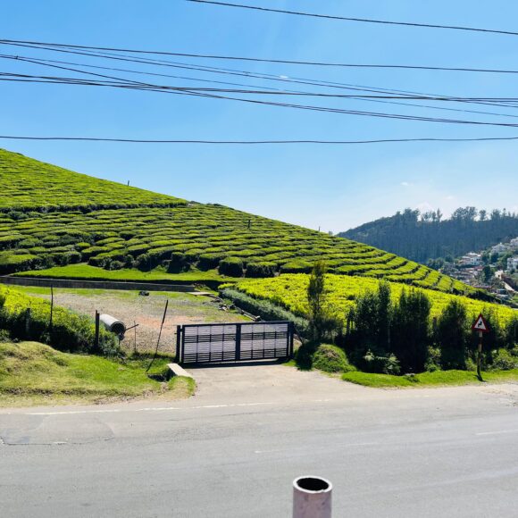 WhatsApp Image 2025-12-03 at 8.45.34 PM