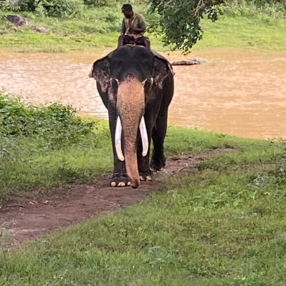 WhatsApp Image 2025-12-03 at 8.45.37 PM