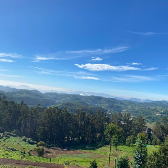 WhatsApp Image 2025-12-03 at 8.45.38 PM (1)