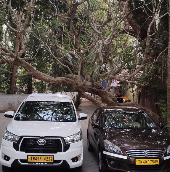 WhatsApp Image 2026-01-13 at 12.33.38 PM (1)