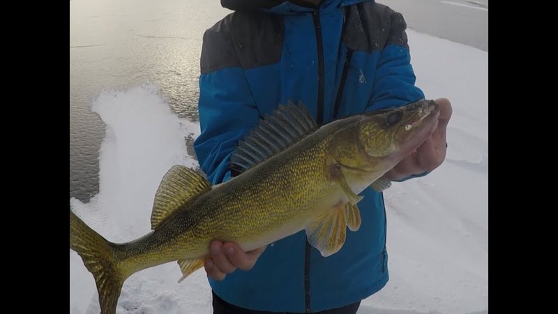 UK Gamblers Reel in Big Wins with Ice Fishing Live Casino Games